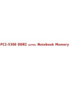 DDR2 PC2-5300 667MHz Notebook Memory